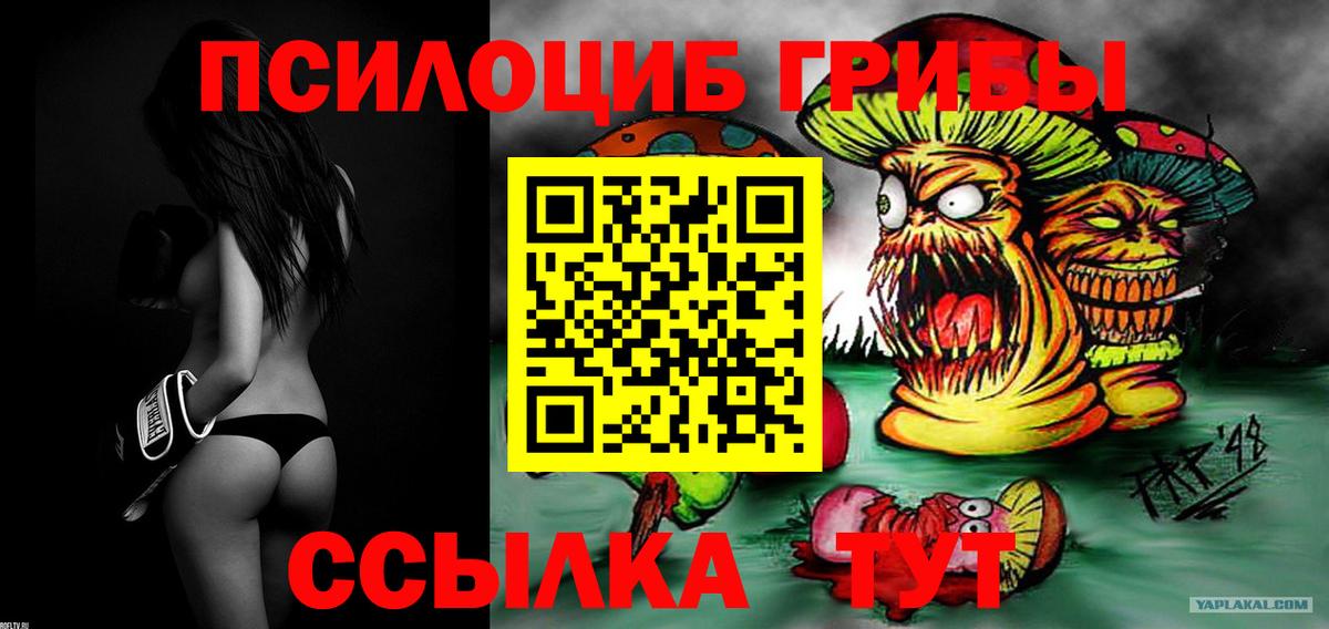 Псилоцибиновые грибы Cubensis  Вход с VPN  Нижнеудинск 
