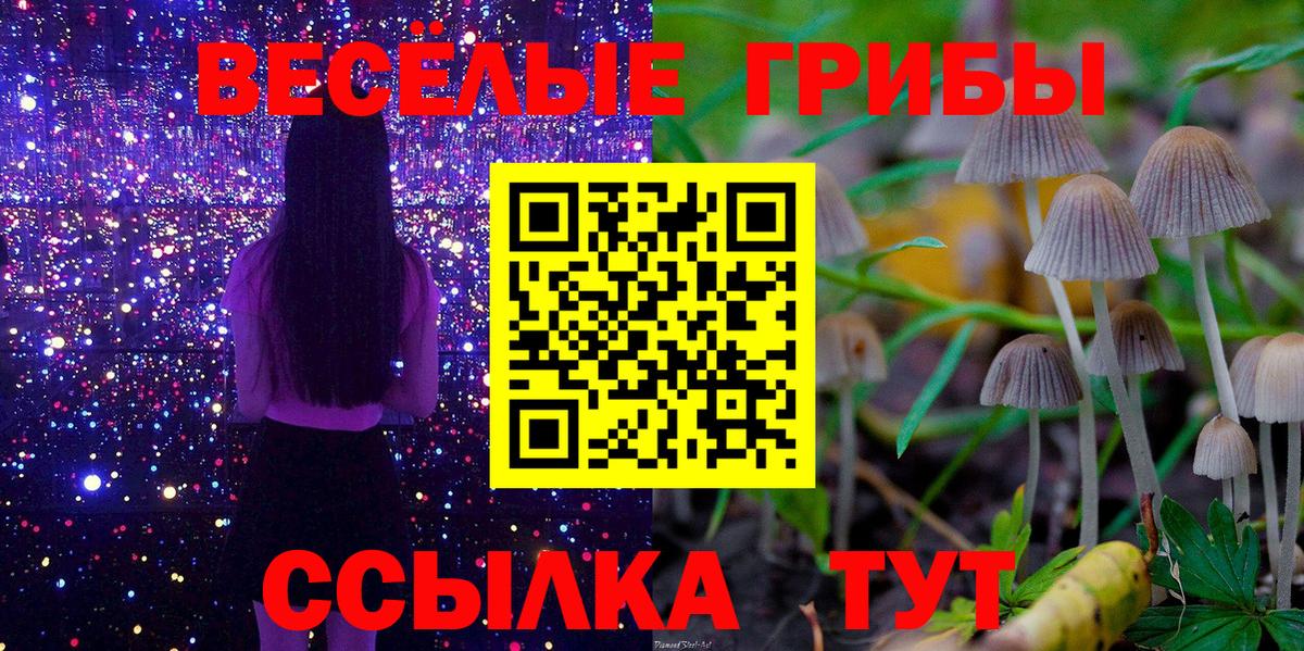 Псилоцибиновые грибы Magic Shrooms Нижнеудинск