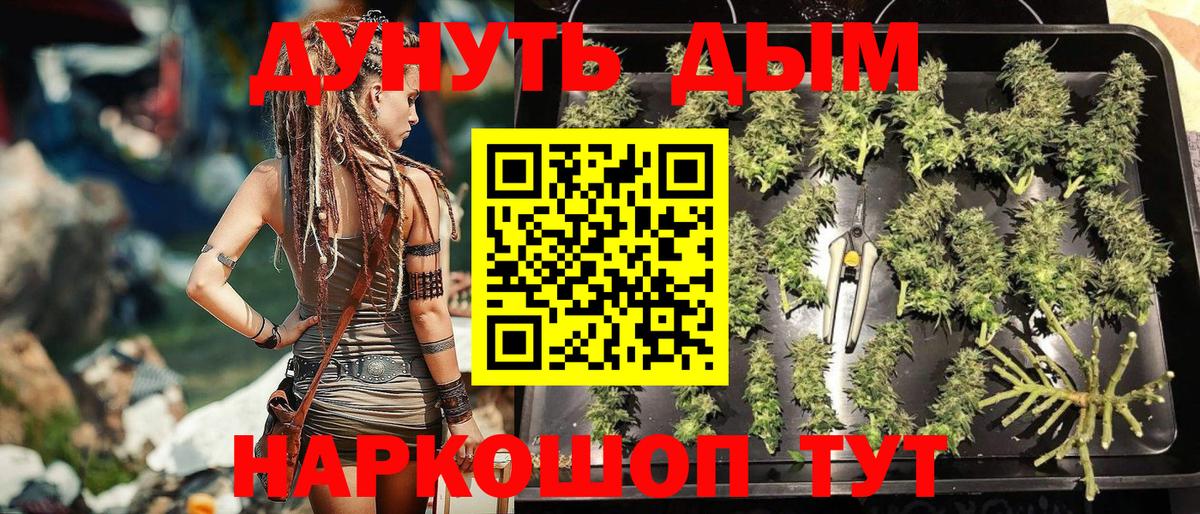 Шишки марихуана семена  Вход с VPN  Нижнеудинск  Марихуана марихуана  МАРИХУАНА White Widow 